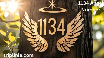 1134 Angel Number