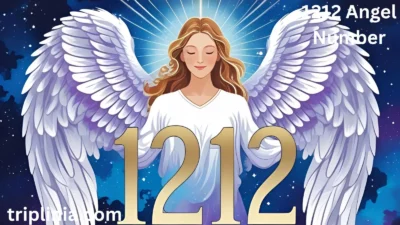 1212 Angel Number