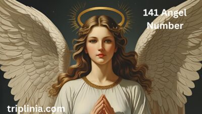141 Angel Number