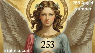 253 Angel Number