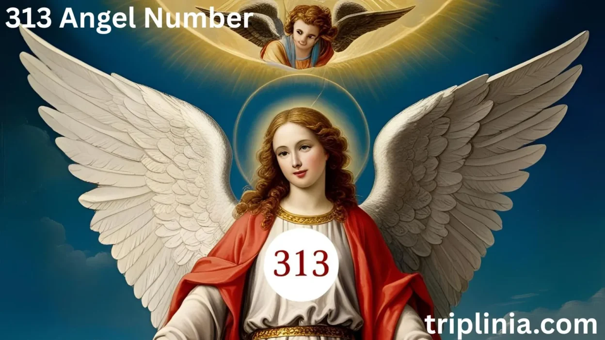 313 Angel Number