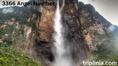 3366 Angel Number