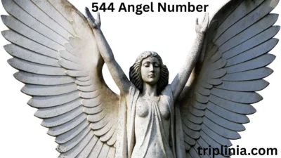 544 Angel Number