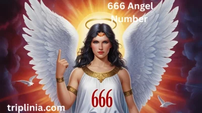 666 Angel Number