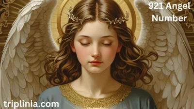 921 Angel Number