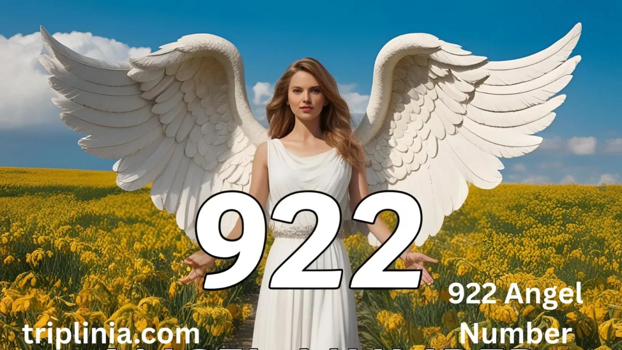 922 Angel Number