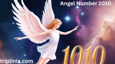 Angel Number 1010