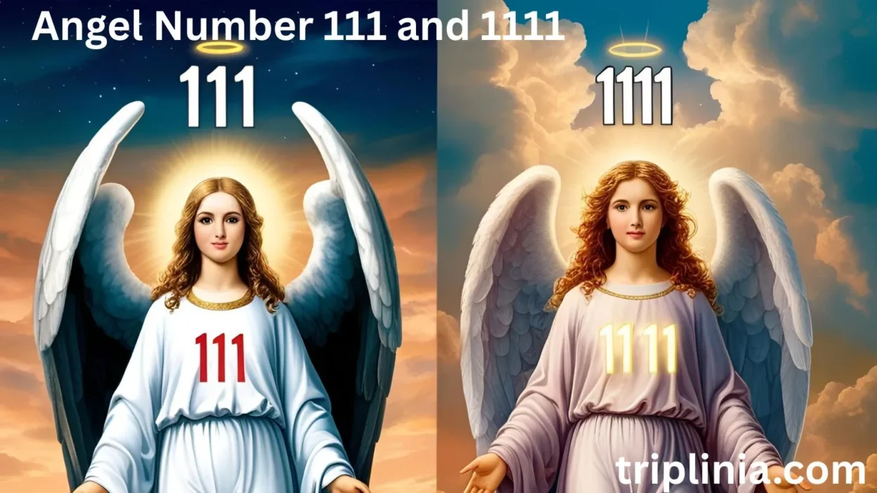 Angel Number 111 and 1111