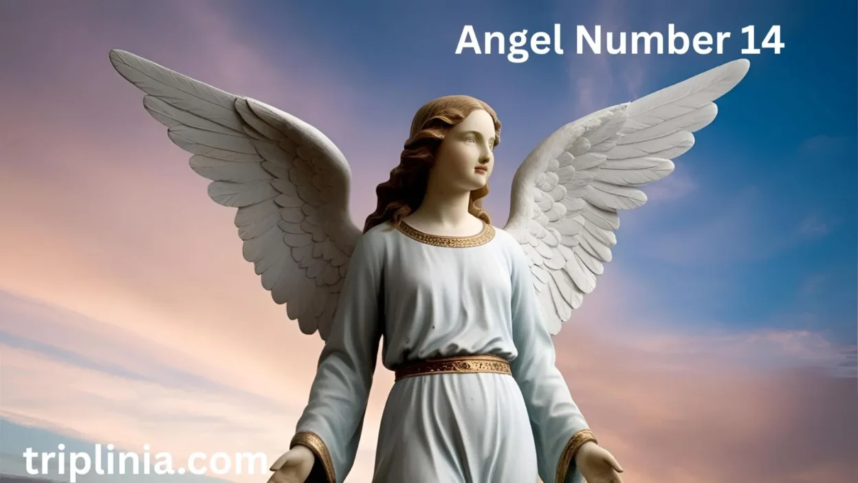 Angel Number 14