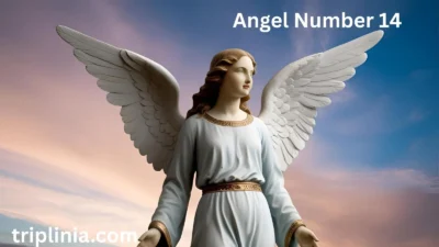 Angel Number 14