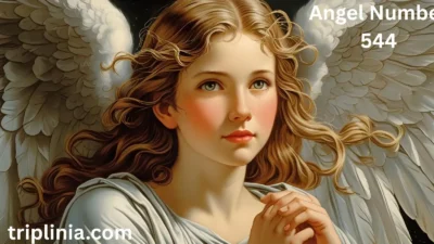 Angel Number 544