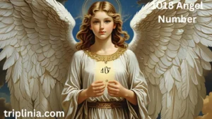 1018 Angel Number