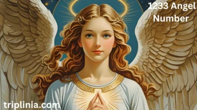 1233 Angel Number