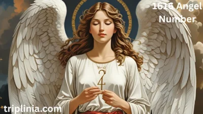 1616 Angel Number
