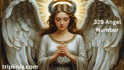 329 Angel Number
