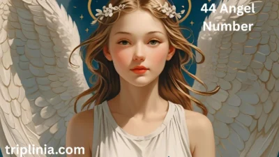 44 Angel Number