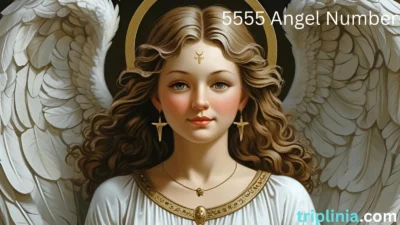 5555 Angel Number