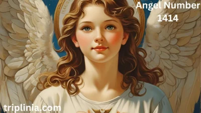 Angel Number 1414