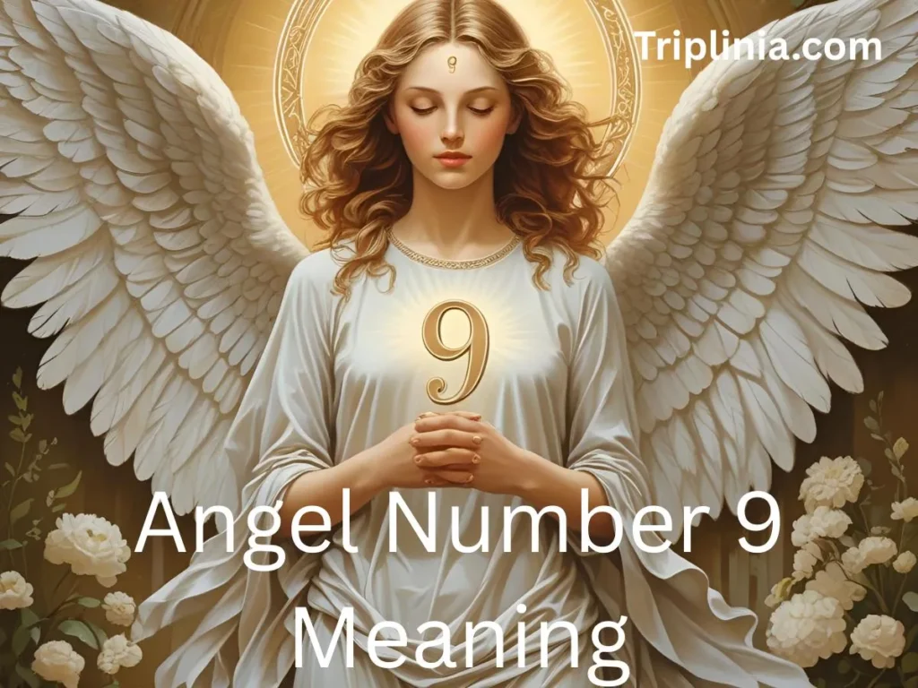 Angel Number 9 Meaning