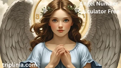Angel Number Calculator Free
