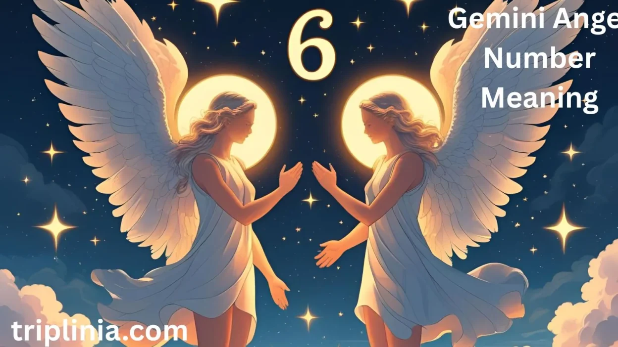 Gemini Angel Number Meaning