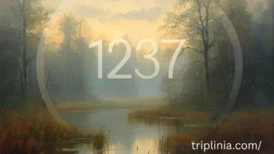 1237 Angel Number