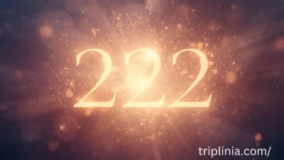 222 Angel Number