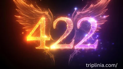 422 Angel Number