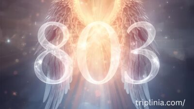 803 Angel Number