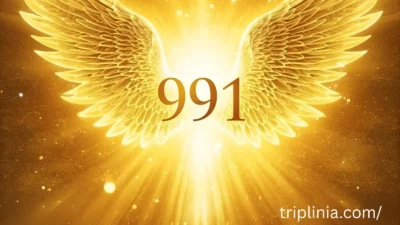 991 Angel Number: