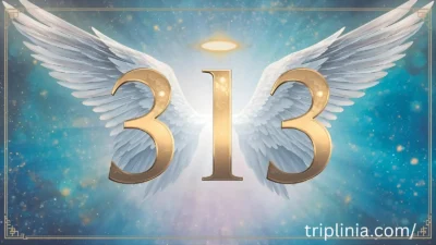 Angel Number 313 Meaning: