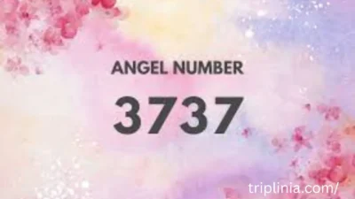 Angel Number 3737: 