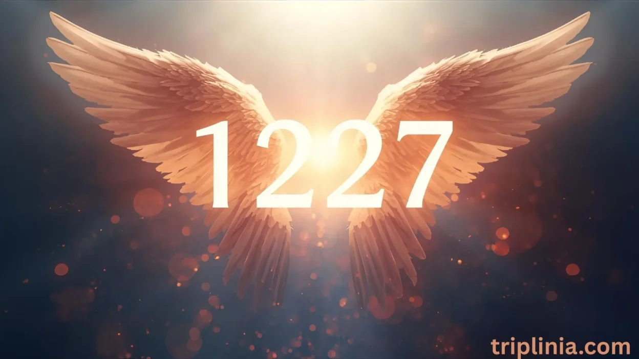 1227 Angel Number Meaning 2025: