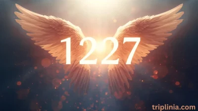 1227 Angel Number Meaning 2025: 