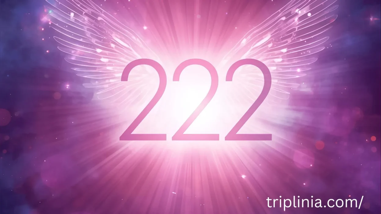 222 angel number