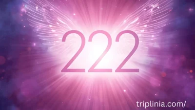 222 angel number