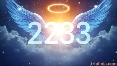 2233 Angel Number Meaning: