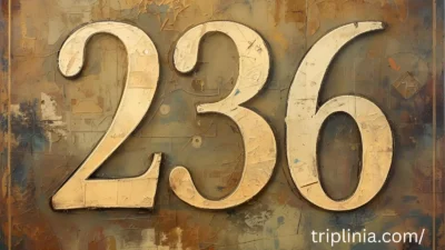 236 Angel Number: 