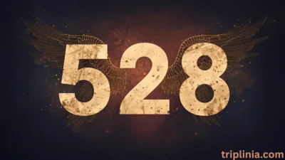 528 Angel Number Meaning: