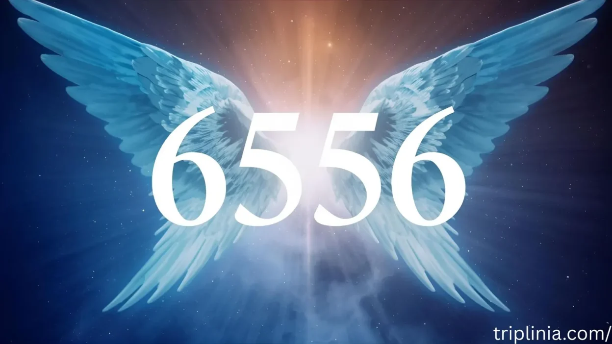 6556 Angel Number Meaning: