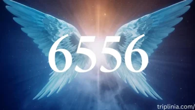 6556 Angel Number Meaning: