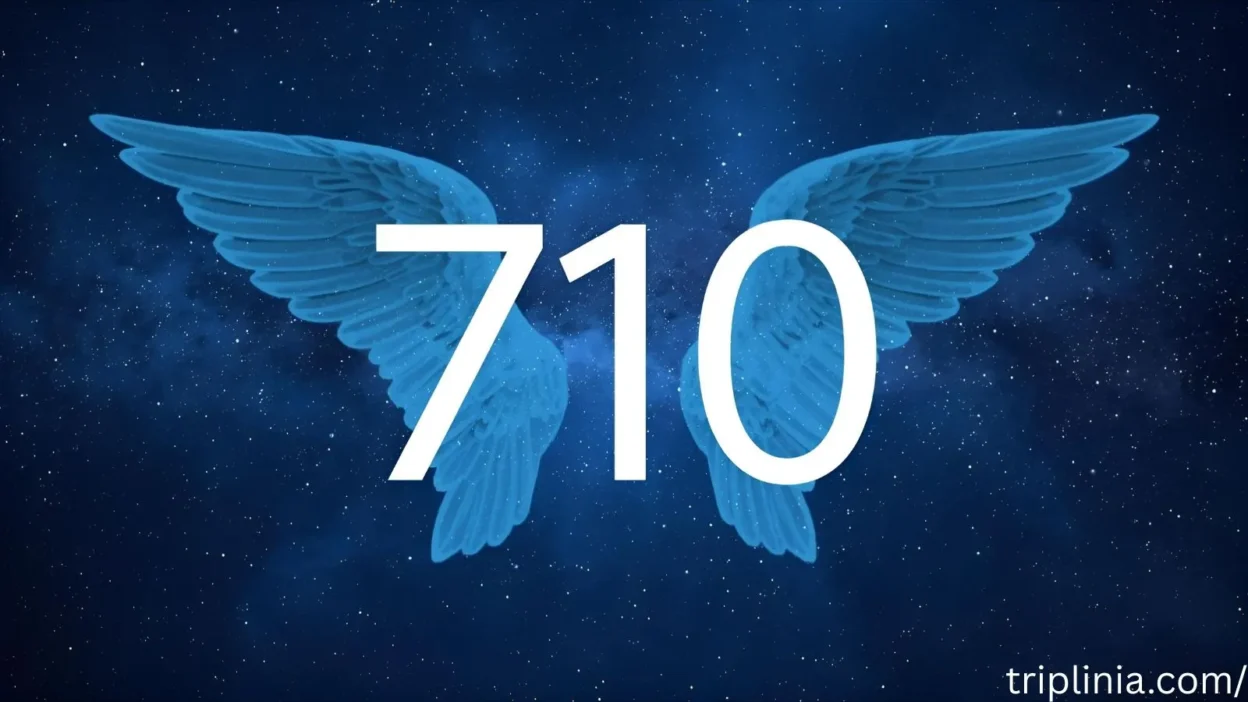 710 Angel Number Meaning: