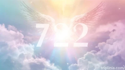 722 Angel Number Meaning: