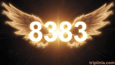 8383 Angel Number Meaning: