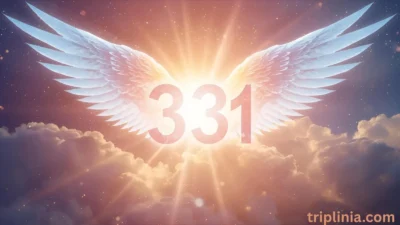 Angel Number 331 Meaning: