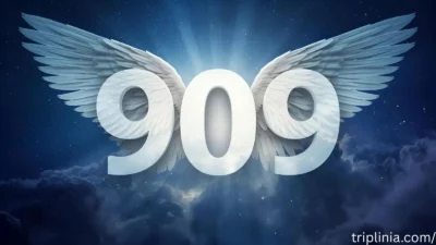 angel-number-909-meaning