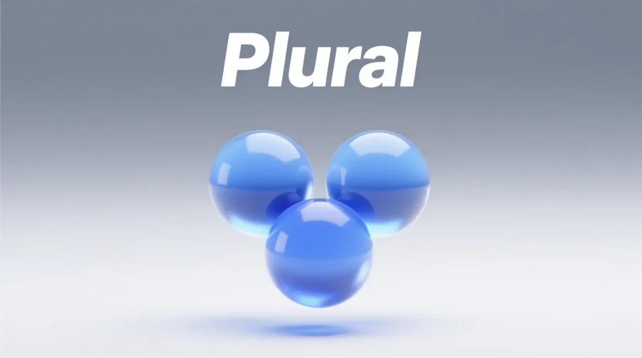 What Does Plural Mean